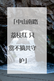 中山南路荔枝红 只赏不摘共守护