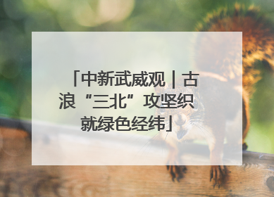 中新武威观｜古浪“三北”攻坚织就绿色经纬