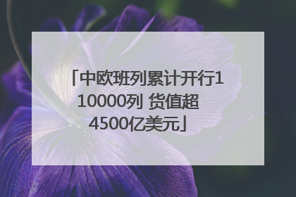中欧班列累计开行110000列 货值超4500亿美元