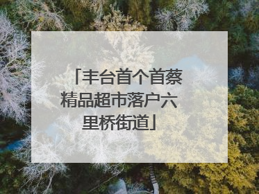 丰台首个首蔡精品超市落户六里桥街道