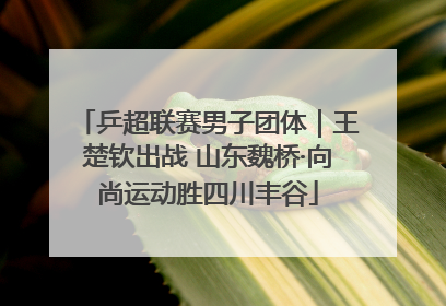 乒超联赛男子团体｜王楚钦出战 山东魏桥·向尚运动胜四川丰谷