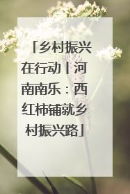 乡村振兴在行动丨河南南乐：西红柿铺就乡村振兴路