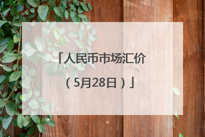 人民币市场汇价（5月28日）