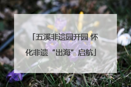 五溪非遗园开园 怀化非遗“出海”启航