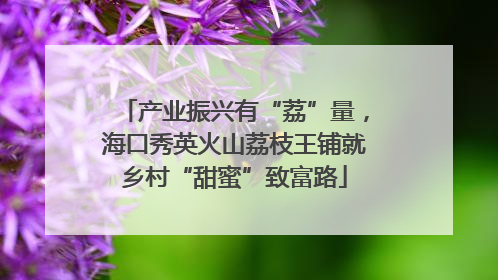 产业振兴有“荔”量，海口秀英火山荔枝王铺就乡村“甜蜜”致富路