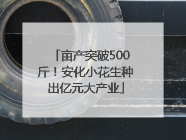 亩产突破500斤！安化小花生种出亿元大产业
