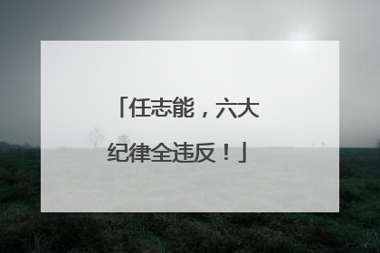 任志能，六大纪律全违反！