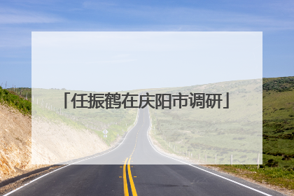 任振鹤在庆阳市调研