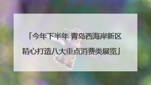 今年下半年 青岛西海岸新区精心打造八大重点消费类展览