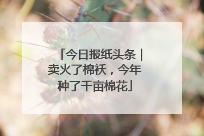今日报纸头条｜卖火了棉袄，今年种了千亩棉花
