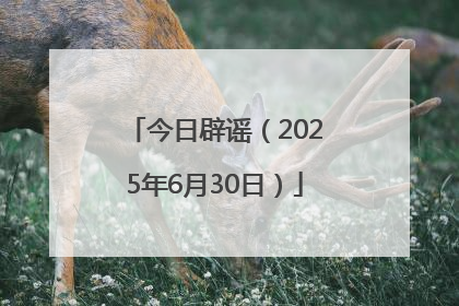 今日辟谣（2025年6月30日）
