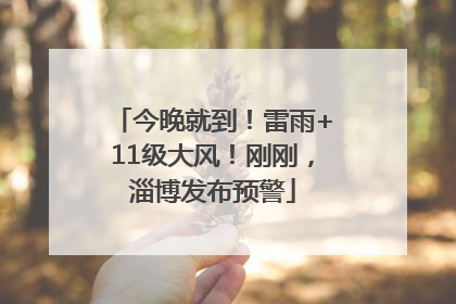 今晚就到！雷雨+11级大风！刚刚，淄博发布预警