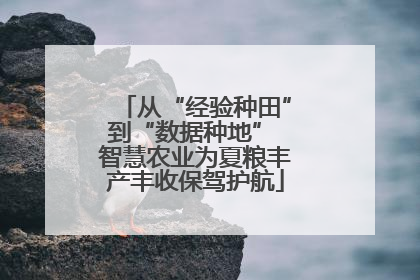 从“经验种田”到“数据种地” 智慧农业为夏粮丰产丰收保驾护航