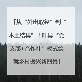 从“外出取经”到“本土结果”！叶县“党支部+合作社”模式绘就乡村振兴新图景