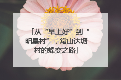 从“早上好”到“明星村”，常山达塘村的蝶变之路