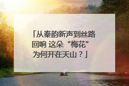 从秦韵新声到丝路回响 这朵“梅花”为何开在天山？