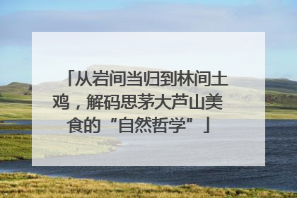 从岩间当归到林间土鸡，解码思茅大芦山美食的“自然哲学”