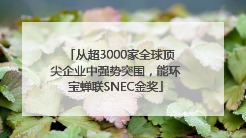 从超3000家全球顶尖企业中强势突围，能环宝蝉联SNEC金奖