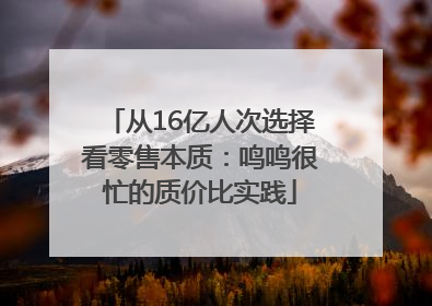 从16亿人次选择看零售本质：鸣鸣很忙的质价比实践