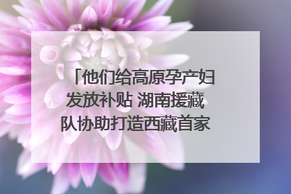 他们给高原孕产妇发放补贴 湖南援藏队协助打造西藏首家高原产儿协同中心