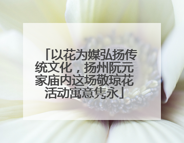以花为媒弘扬传统文化，扬州阮元家庙内这场敬琼花活动寓意隽永