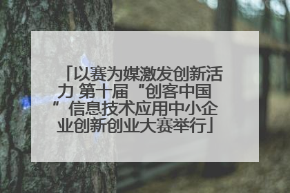 以赛为媒激发创新活力 第十届“创客中国”信息技术应用中小企业创新创业大赛举行