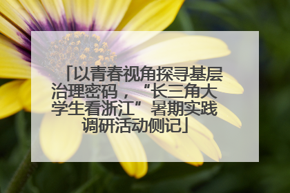 以青春视角探寻基层治理密码，“长三角大学生看浙江”暑期实践调研活动侧记
