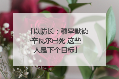 以防长：穆罕默德·辛瓦尔已死 这些人是下个目标