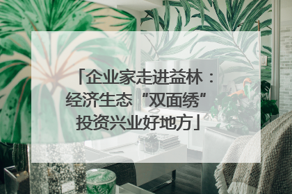 企业家走进益林：经济生态“双面绣” 投资兴业好地方