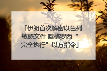伊朗首次解密以色列敏感文件 曝格罗西“完全执行”以方指令