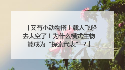 又有小动物搭上载人飞船去太空了！为什么模式生物能成为“探索代表”？