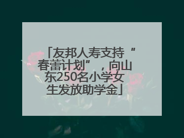友邦人寿支持“春蕾计划”，向山东250名小学女生发放助学金