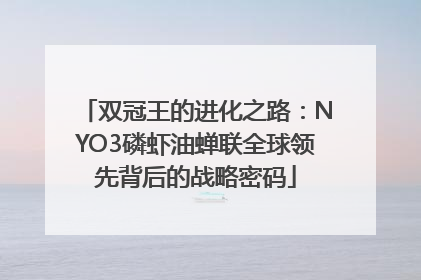 双冠王的进化之路：NYO3磷虾油蝉联全球领先背后的战略密码