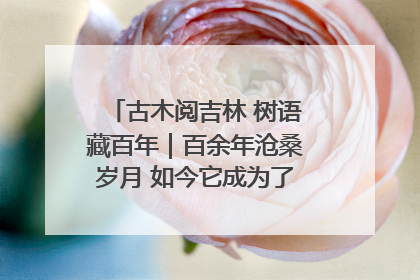 古木阅吉林 树语藏百年｜百余年沧桑岁月 如今它成为了“镇园之宝”