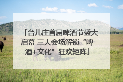 台儿庄首届啤酒节盛大启幕 三大会场解锁“啤酒+文化”狂欢矩阵