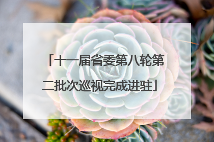 十一届省委第八轮第二批次巡视完成进驻
