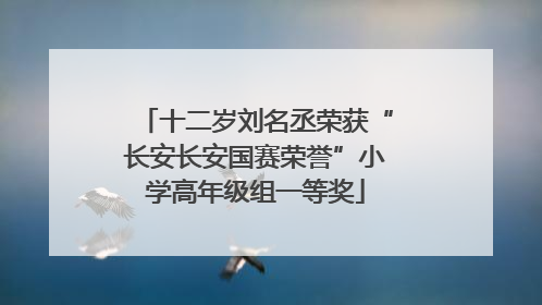 十二岁刘名丞荣获“长安长安国赛荣誉”小学高年级组一等奖
