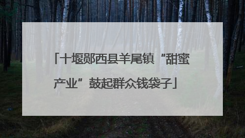 十堰郧西县羊尾镇“甜蜜产业”鼓起群众钱袋子