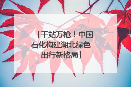 千站万枪！中国石化构建湖北绿色出行新格局
