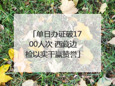单日办证破1700人次 西藏边检以实干赢赞誉