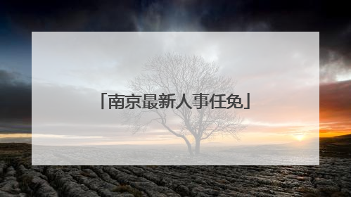 南京最新人事任免