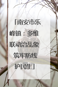 南安市乐峰镇：多维联动治乱象 筑牢防线护民生