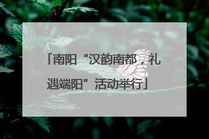 南阳“汉韵南都，礼遇端阳”活动举行