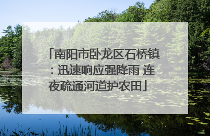 南阳市卧龙区石桥镇：迅速响应强降雨 连夜疏通河道护农田