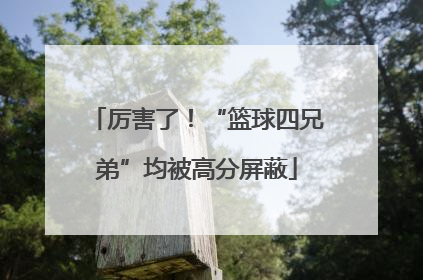 厉害了！“篮球四兄弟”均被高分屏蔽