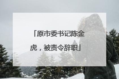 原市委书记陈金虎，被责令辞职