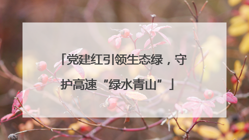 党建红引领生态绿，守护高速“绿水青山”