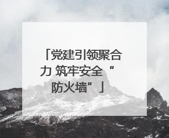 党建引领聚合力 筑牢安全“防火墙”