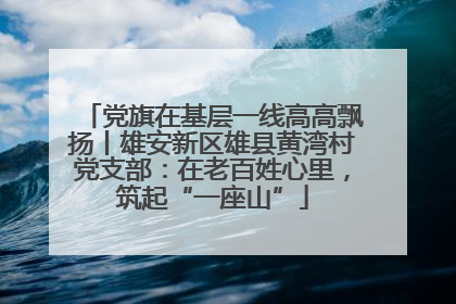 党旗在基层一线高高飘扬丨雄安新区雄县黄湾村党支部：在老百姓心里，筑起“一座山”
