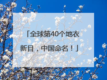 全球第40个地衣新目，中国命名！